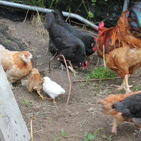 Kartveit Gjestetun Manger