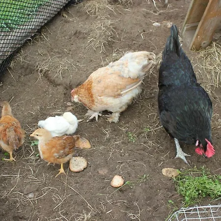 Kartveit Gjestetun Manger