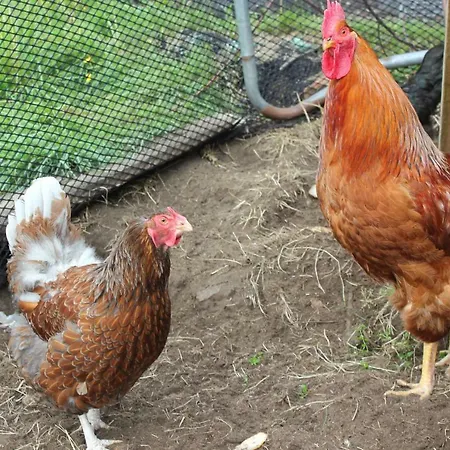 Kartveit Gjestetun Casa di campagna *