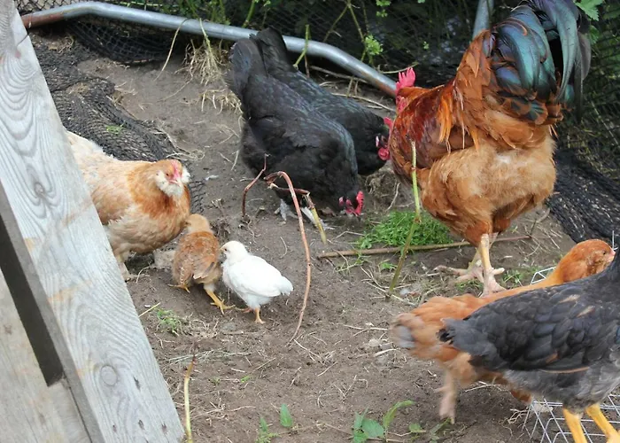 Kartveit Gjestetun Manger