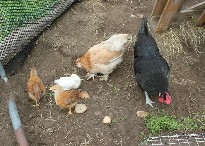 Kartveit Gjestetun Manger